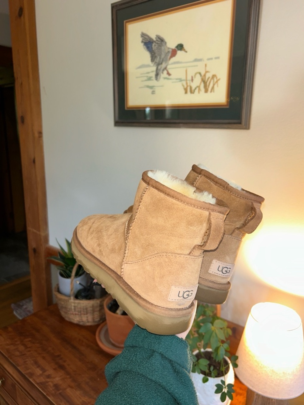 UGG mini ankle boots